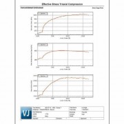 vjt-clisp-triax-reportp2