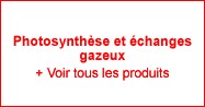 Photosynthèse et Echanges Gazeux