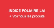 Indice Foliaire LAI